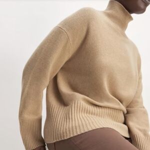 🆕 EVERLANE The Cashmere Oversized Turtleneck